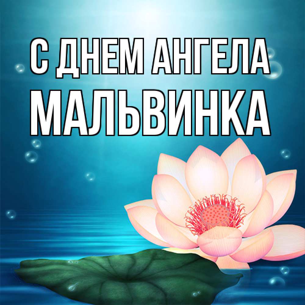 Открытка на каждый день с именем, мальвинка С днем ангела кувшинка Прикольная открытка с пожеланием онлайн скачать бесплатно 