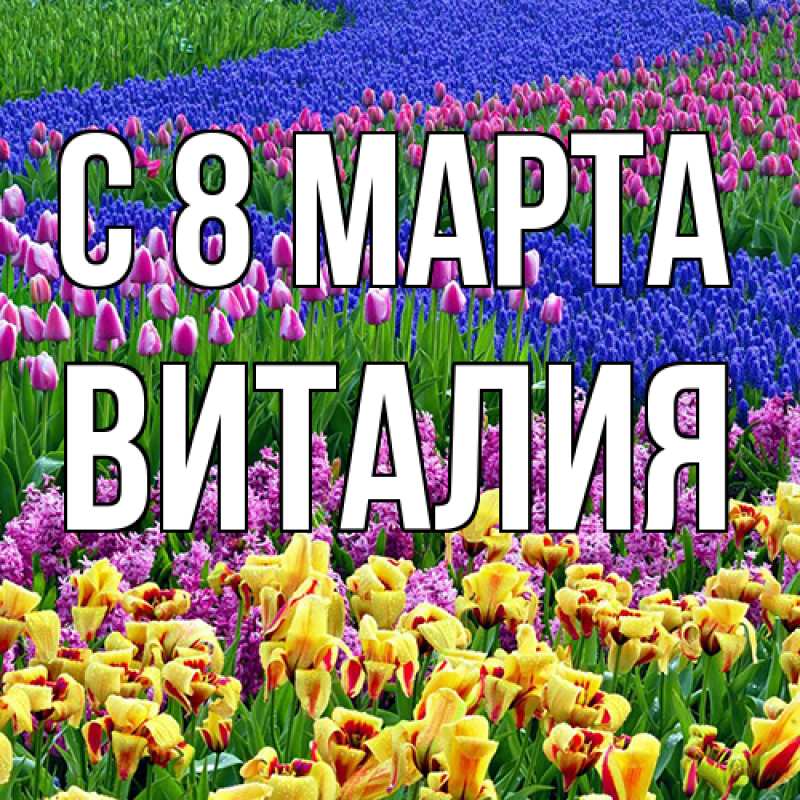 Картинка C 8 МАРТА, Виталия