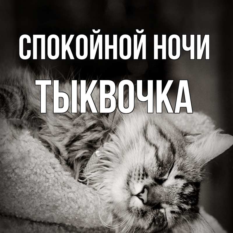 Картинка Спокойной ночи, тыквочка