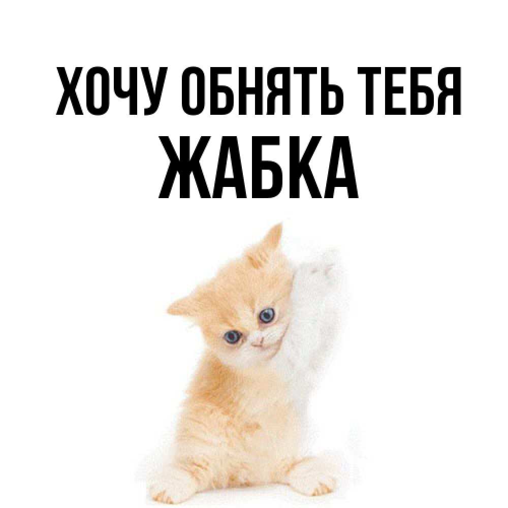 Открытка на каждый день с именем, Жабка Хочу обнять тебя я хочу очень скорее обнимаешек Прикольная открытка с пожеланием онлайн скачать бесплатно 