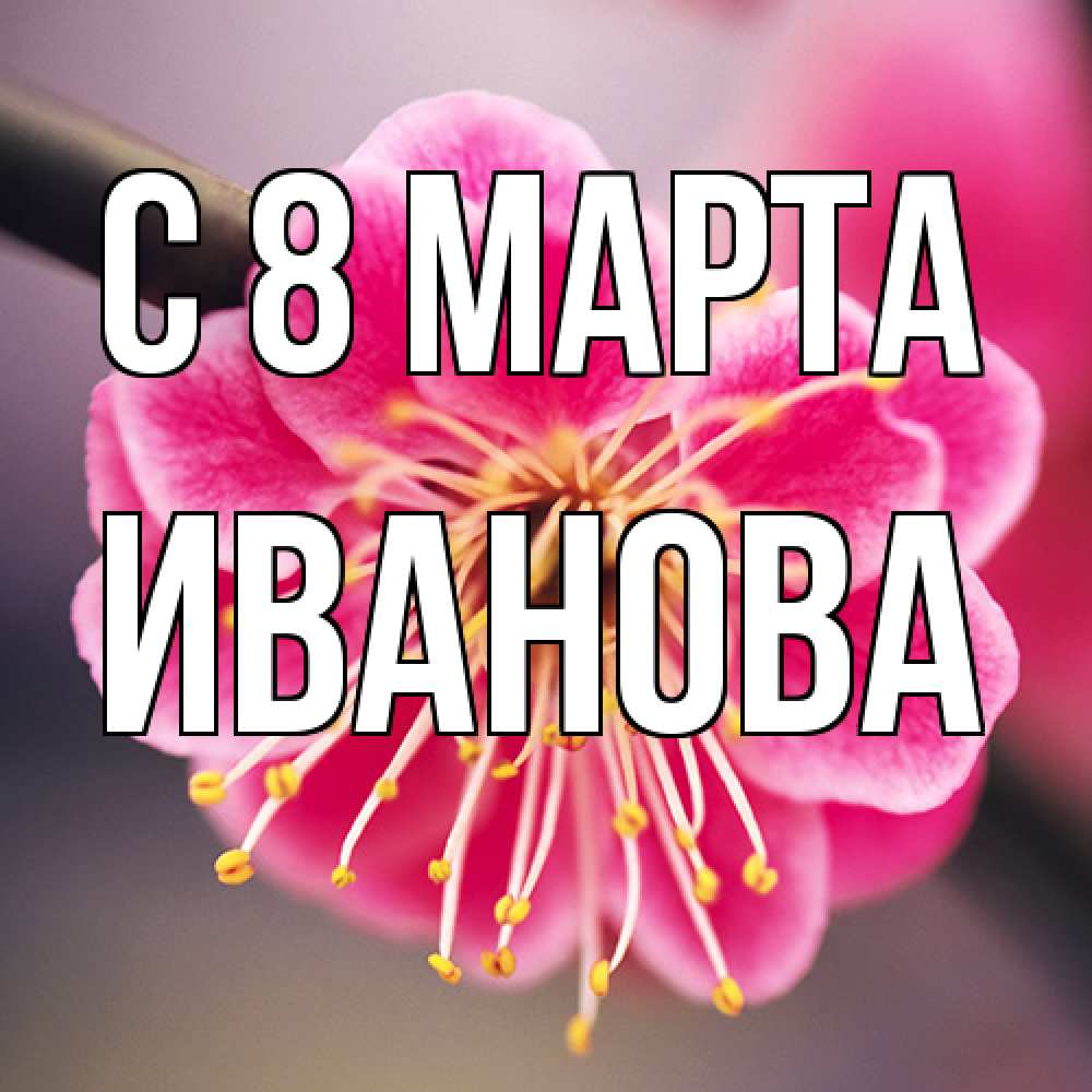 Открытка на каждый день с именем, Иванова C 8 МАРТА цветы Прикольная открытка с пожеланием онлайн скачать бесплатно 
