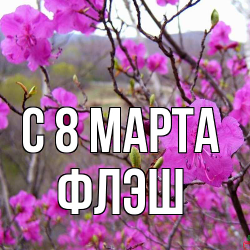 Картинка C 8 МАРТА, Флэш