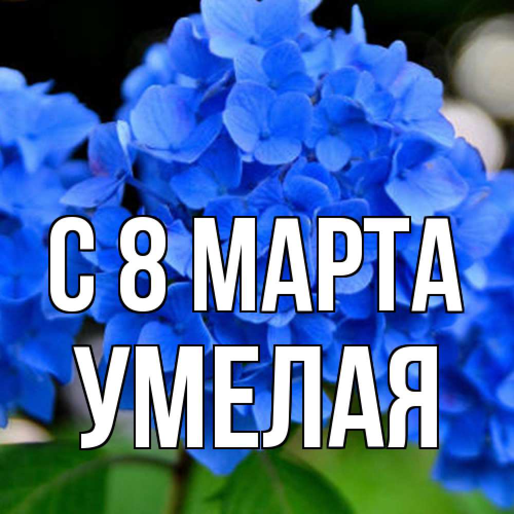 Открытка на каждый день с именем, Умелая C 8 МАРТА синие цветы Прикольная открытка с пожеланием онлайн скачать бесплатно 