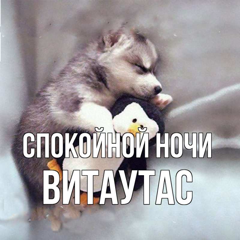 Картинка Спокойной ночи, Витаутас