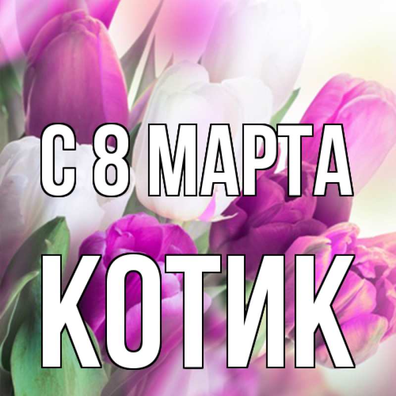 Картинка C 8 МАРТА, Котик