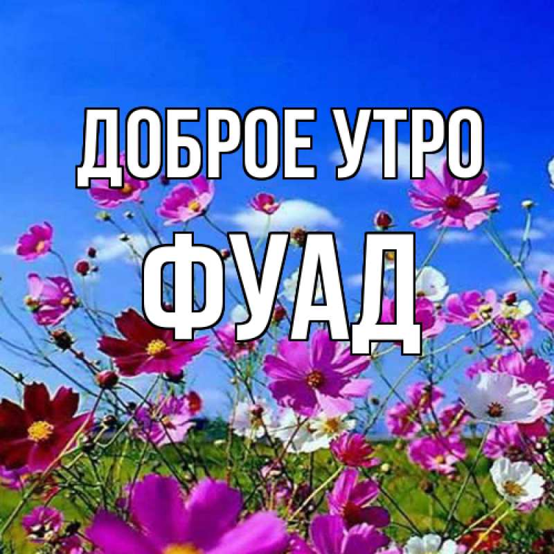 Картинка Доброе утро, Фуад