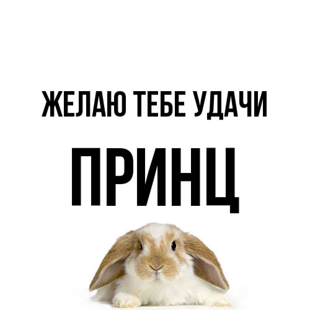 Открытка на каждый день с именем, Принц Желаю тебе удачи открытки с произвольным текстом который можно вставить в открытку и создать ее самостоятельно бесплатно онлайн Прикольная открытка с пожеланием онлайн скачать бесплатно 