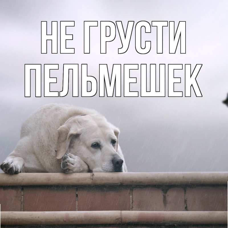 Картинка Не грусти, пельмешек