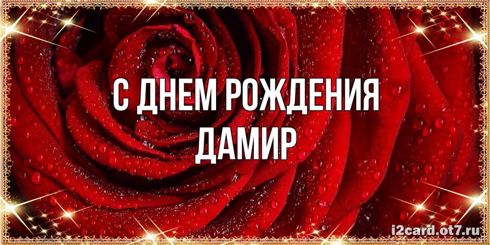 Открытка на каждый день с именем, Дамир С днем рождения роса на розе блестящая в лучах солнца Прикольная открытка с пожеланием онлайн скачать бесплатно 