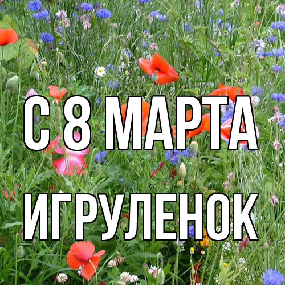Открытка на каждый день с именем, Игpуленок C 8 МАРТА международный женский день 4 Прикольная открытка с пожеланием онлайн скачать бесплатно 