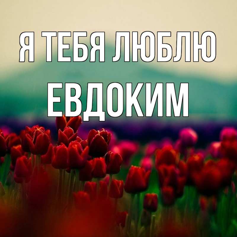 Картинка Я тебя люблю, Евдоким