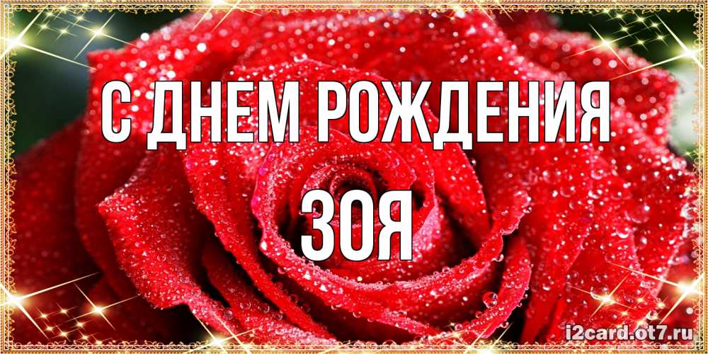 Открытка на каждый день с именем, Зоя С днем рождения роса и роза. открытка с красивой розой Прикольная открытка с пожеланием онлайн скачать бесплатно 