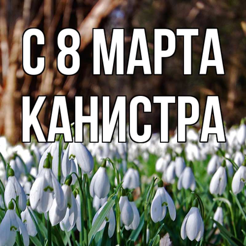 Картинка C 8 МАРТА, Канистра