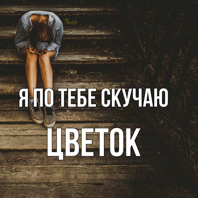 Картинка Я по тебе скучаю, Цветок