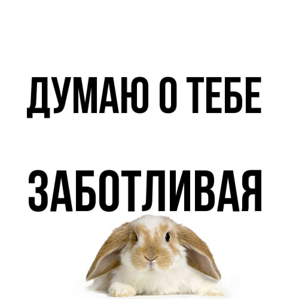 Открытка на каждый день с именем, Заботливая Думаю о тебе подписать своими руками онлайн Прикольная открытка с пожеланием онлайн скачать бесплатно 