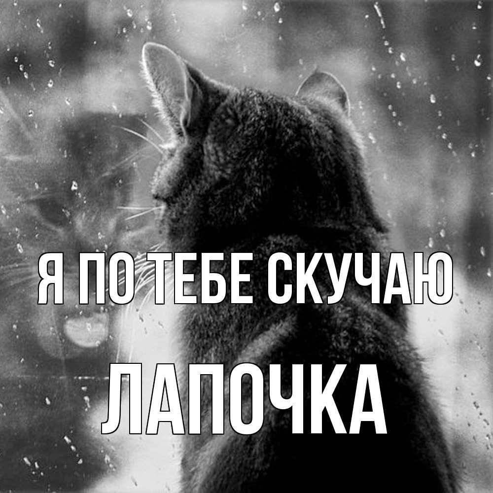 Открытка на каждый день с именем, лапочка Я по тебе скучаю скорее ко мне приходи 1 Прикольная открытка с пожеланием онлайн скачать бесплатно 