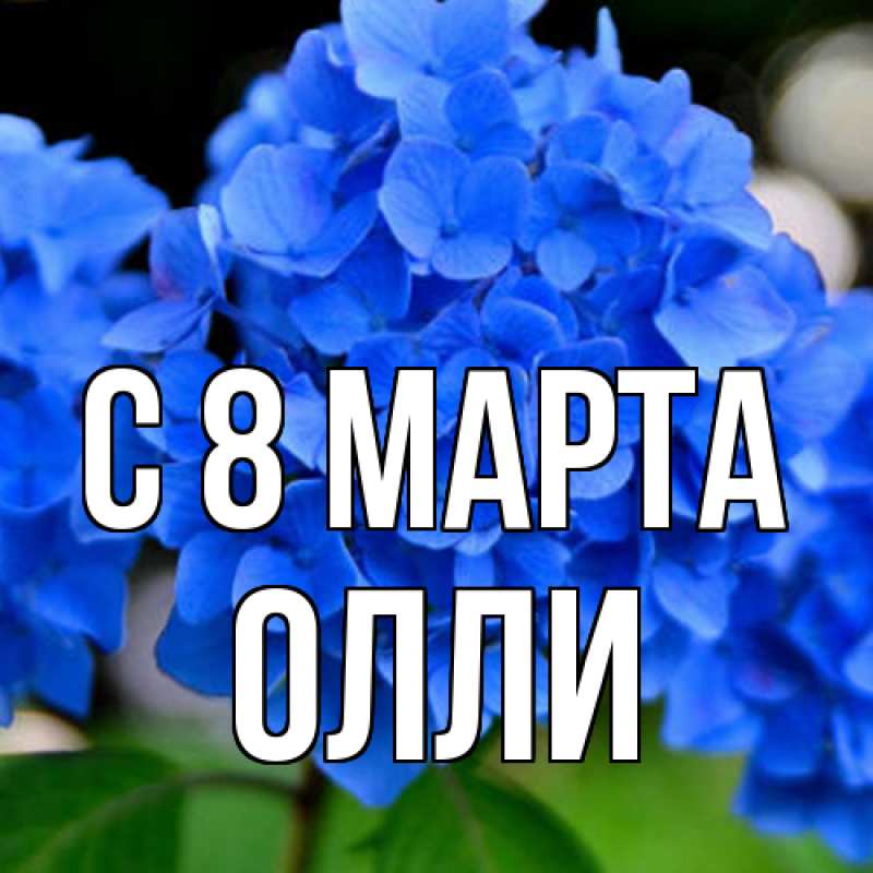 Картинка C 8 МАРТА, Олли