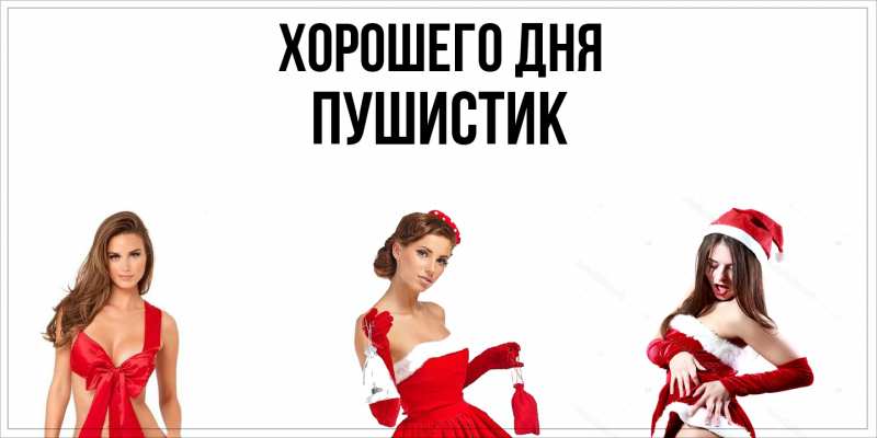 Картинка Хорошего дня, Пушистик