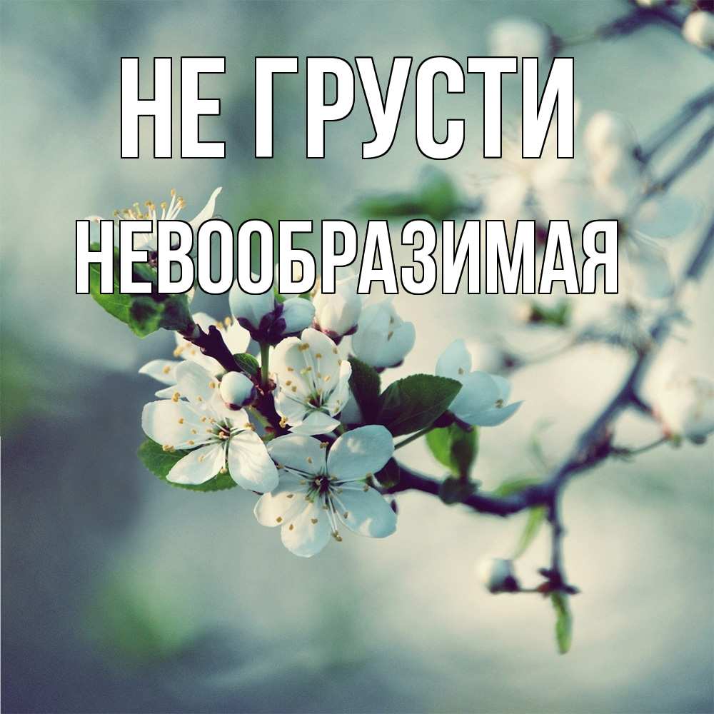 Открытка на каждый день с именем, Невообразимая Не грусти яблоня в цвету 1 Прикольная открытка с пожеланием онлайн скачать бесплатно 