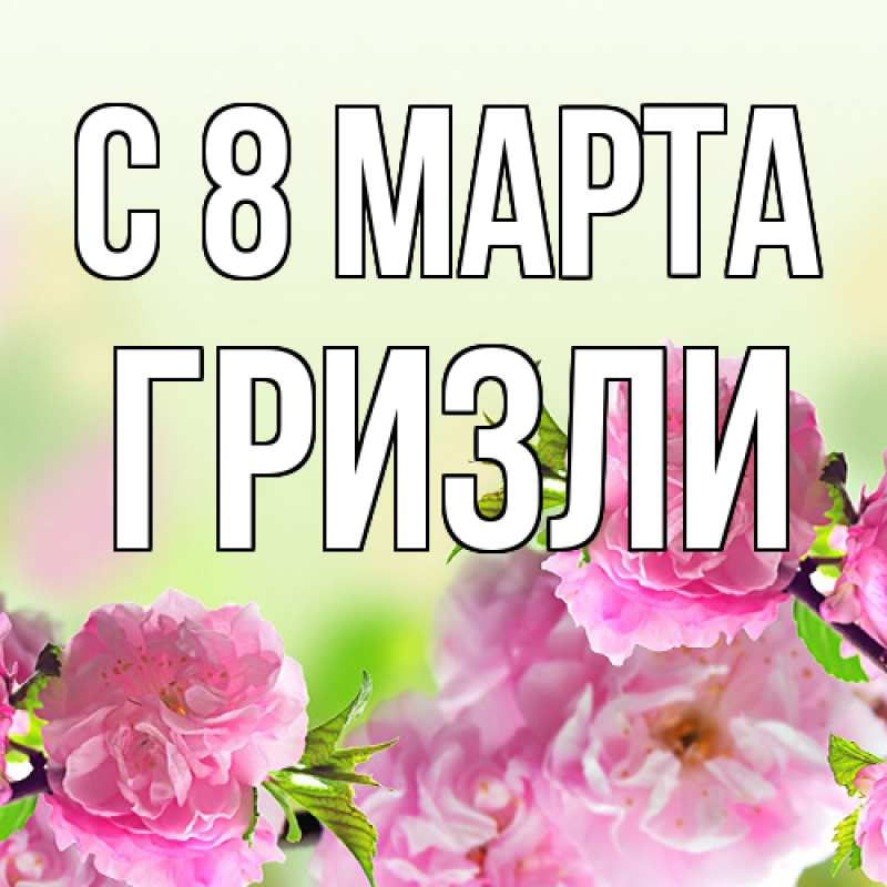 Картинка C 8 МАРТА, Гризли