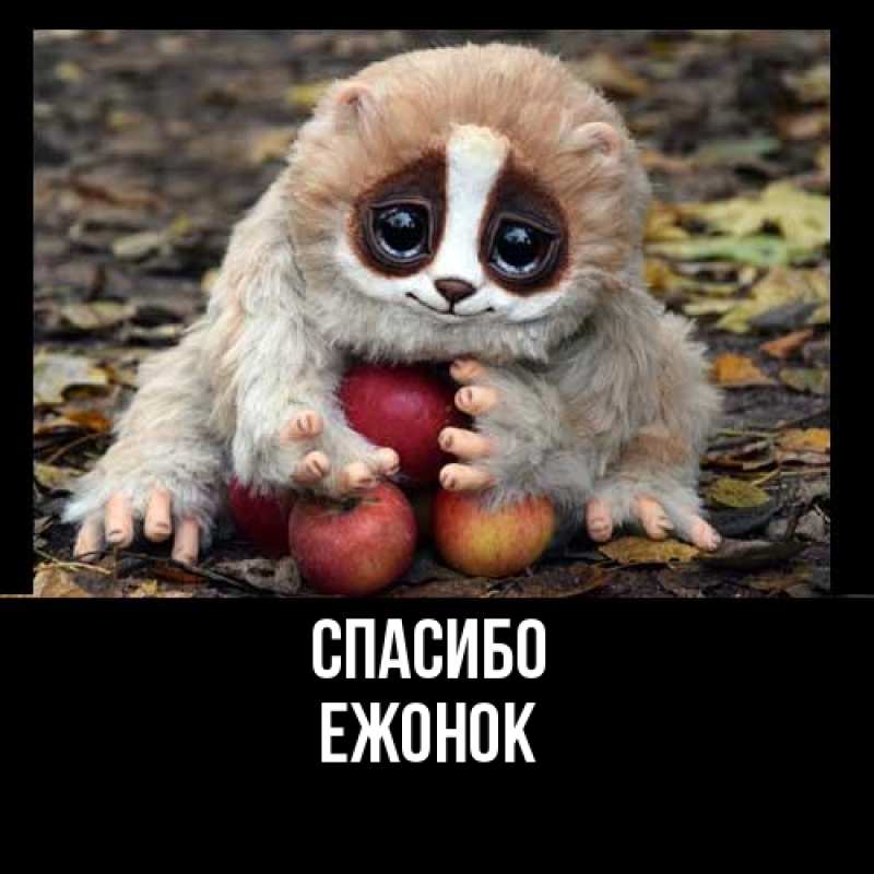 Картинка Спасибо, Ежонок