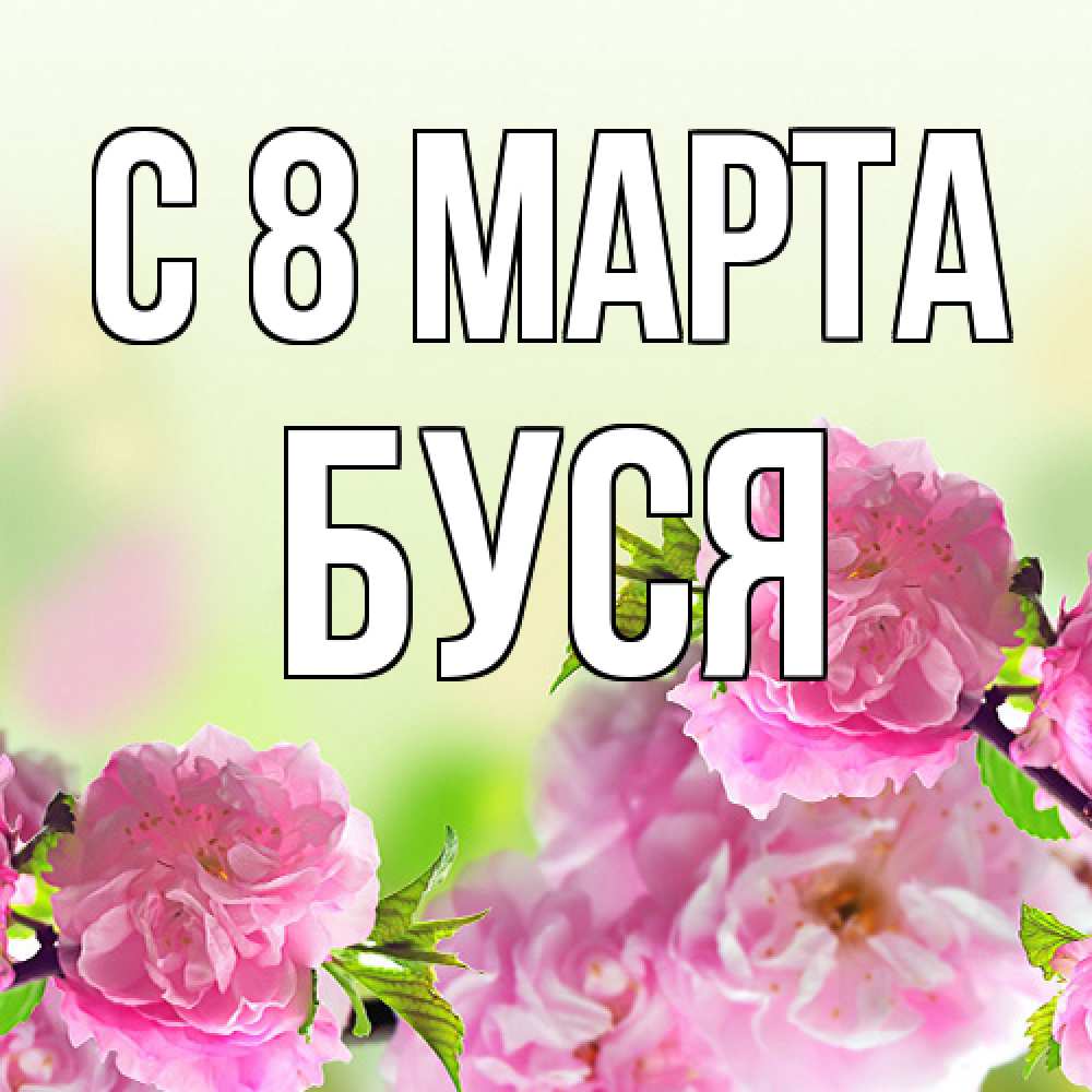 Открытка на каждый день с именем, Буся C 8 МАРТА цветы Прикольная открытка с пожеланием онлайн скачать бесплатно 