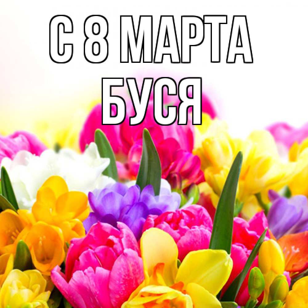 Открытка на каждый день с именем, Буся C 8 МАРТА тюльпаны Прикольная открытка с пожеланием онлайн скачать бесплатно 