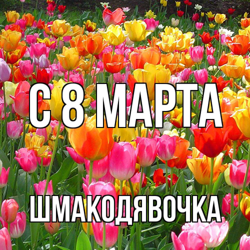 Открытка на каждый день с именем, шмакодявочка C 8 МАРТА на международный женский день Прикольная открытка с пожеланием онлайн скачать бесплатно 