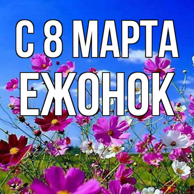Картинка C 8 МАРТА, Ежонок