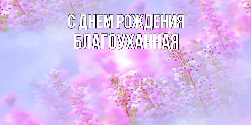 Картинка С днем рождения, благоуханная