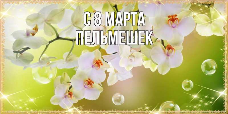 Картинка C 8 МАРТА, пельмешек