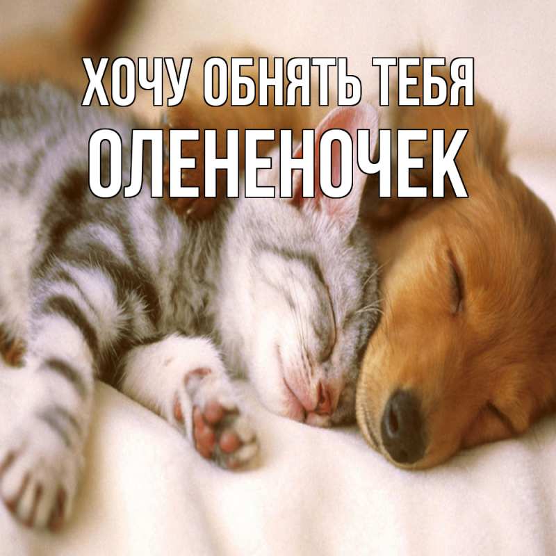 Картинка Хочу обнять тебя, Олененочек