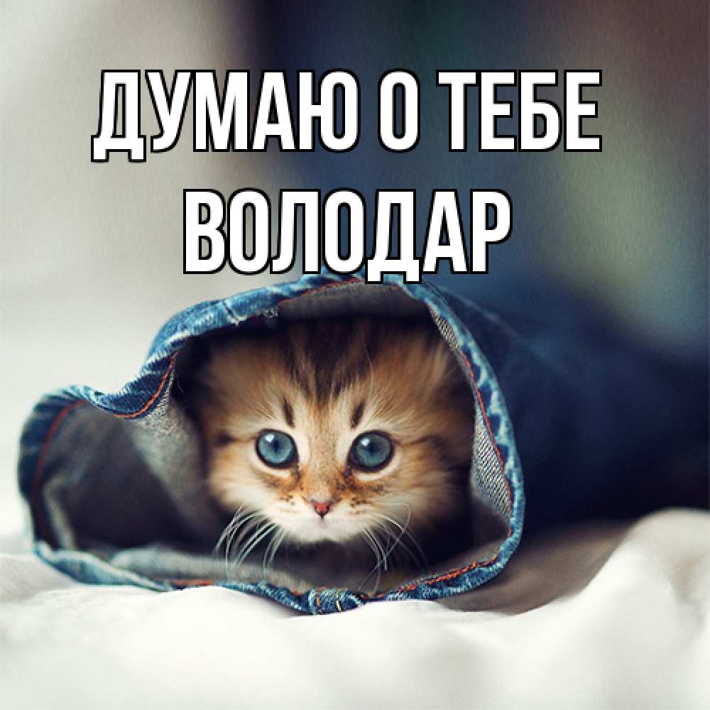 Открытка на каждый день с именем, Володар Думаю о тебе мне без тебя плохо Прикольная открытка с пожеланием онлайн скачать бесплатно 