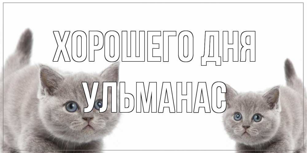 Открытка на каждый день с именем, Ульманас Хорошего дня открытка с котами Прикольная открытка с пожеланием онлайн скачать бесплатно 