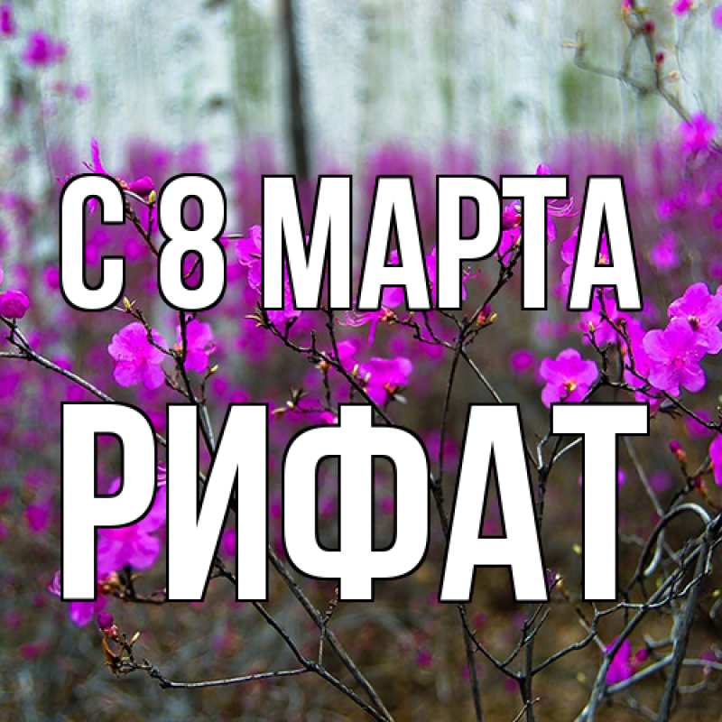 Картинка C 8 МАРТА, Рифат