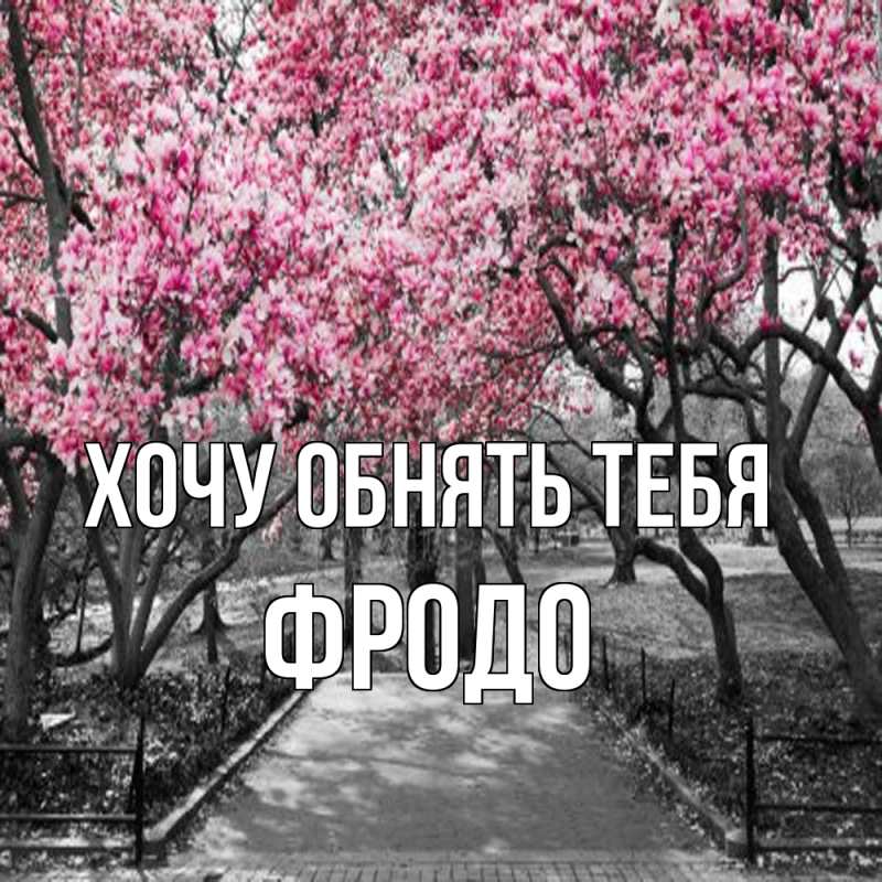 Картинка Хочу обнять тебя, Фродо