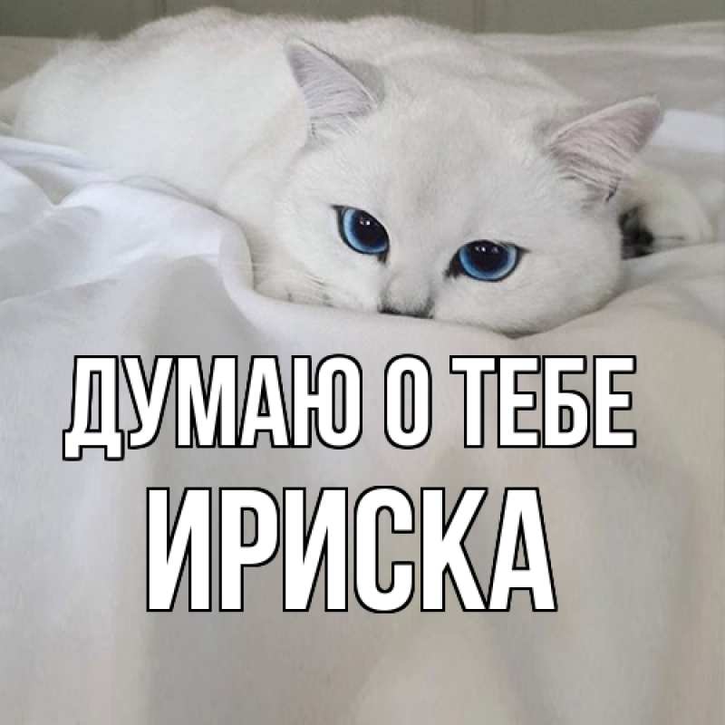 Картинка Думаю о тебе, ириска