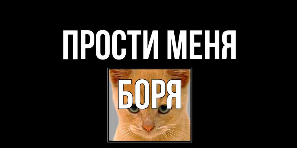 Открытка на каждый день с именем, Боря Прости меня рыжий грустный кот просит прощения Прикольная открытка с пожеланием онлайн скачать бесплатно 