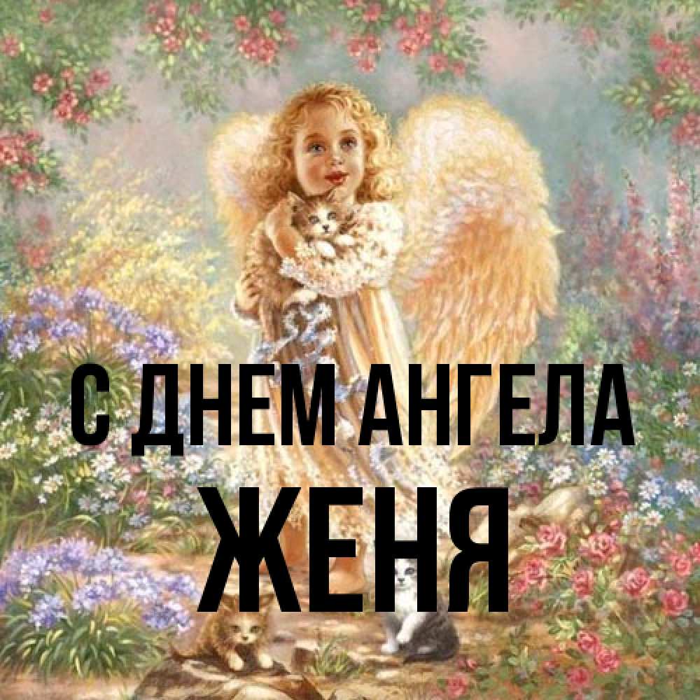 Открытка на каждый день с именем, Женя С днем ангела держит котенка Прикольная открытка с пожеланием онлайн скачать бесплатно 
