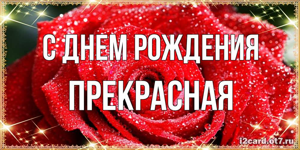Открытка на каждый день с именем, Пpекpасная С днем рождения роса и роза. открытка с красивой розой Прикольная открытка с пожеланием онлайн скачать бесплатно 
