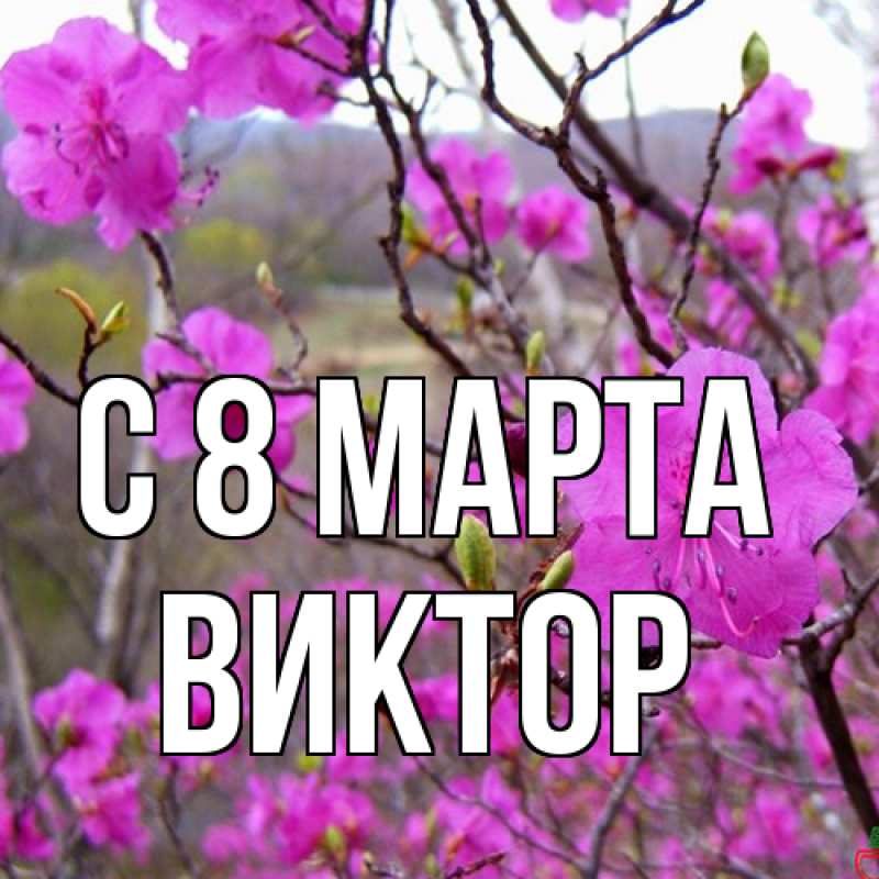 Картинка C 8 МАРТА, Виктор