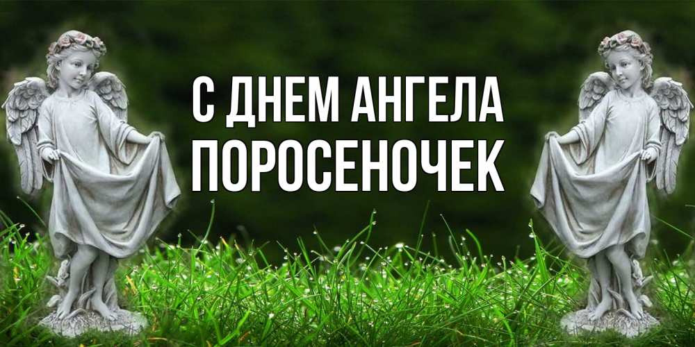 Открытка на каждый день с именем, поросеночек С днем ангела небо, ангел, девушка Прикольная открытка с пожеланием онлайн скачать бесплатно 