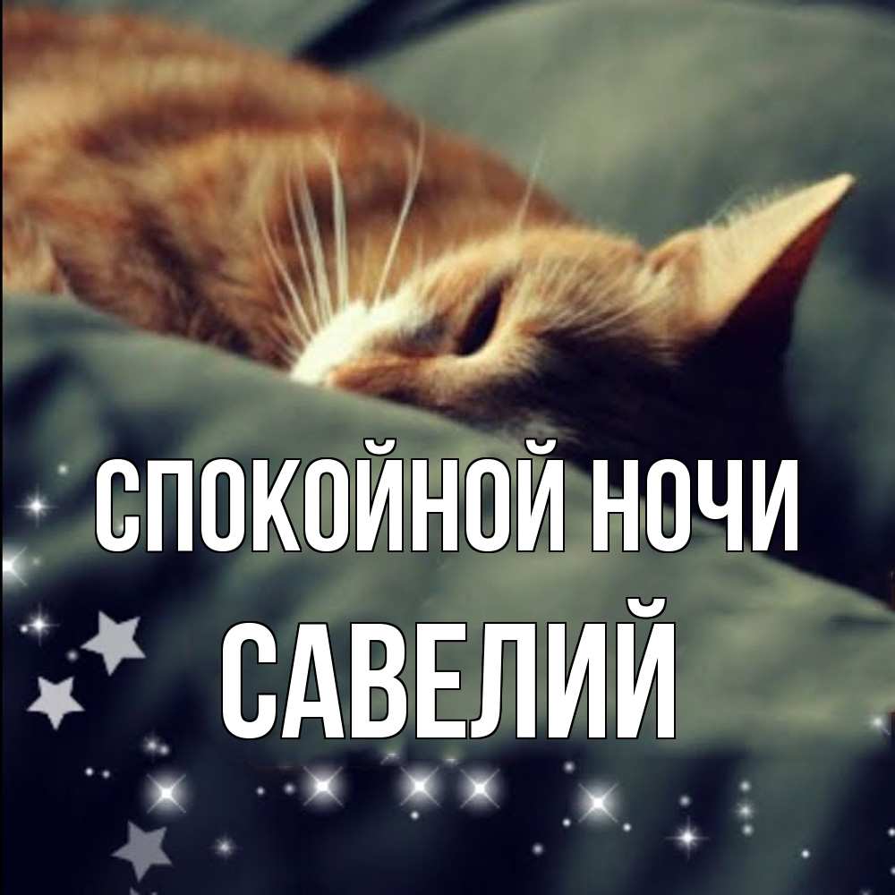 Открытка на каждый день с именем, Савелий Спокойной ночи кроватка Прикольная открытка с пожеланием онлайн скачать бесплатно 