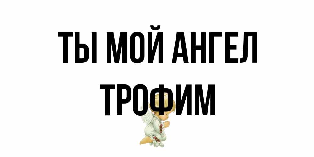 Открытка на каждый день с именем, Трофим Ты мой ангел ангел Прикольная открытка с пожеланием онлайн скачать бесплатно 