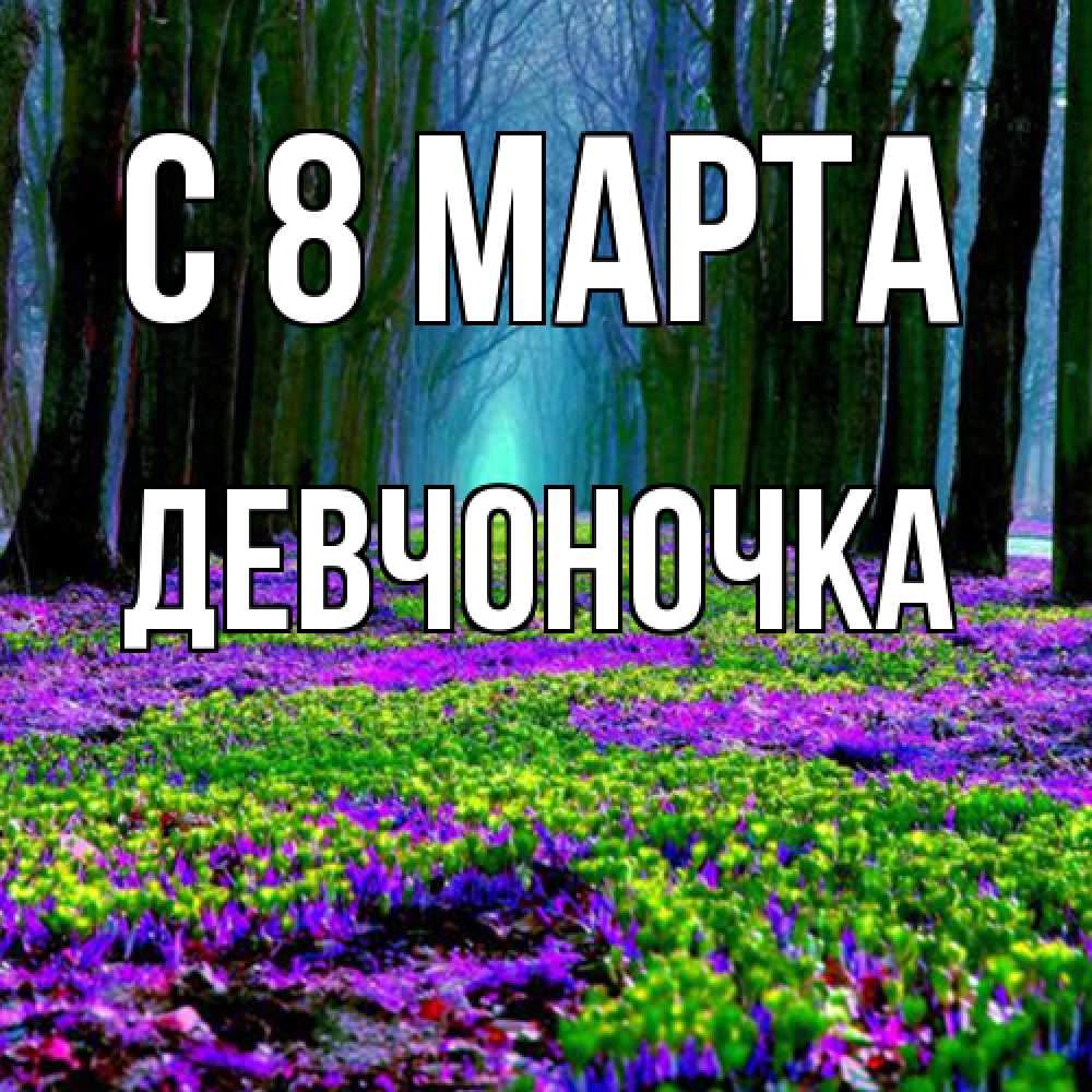 Открытка на каждый день с именем, девчоночка C 8 МАРТА фиолетовые цветы в лесу 1 Прикольная открытка с пожеланием онлайн скачать бесплатно 