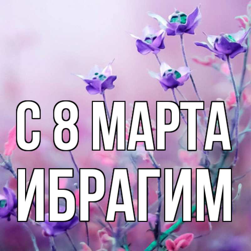 Картинка C 8 МАРТА, Ибрагим