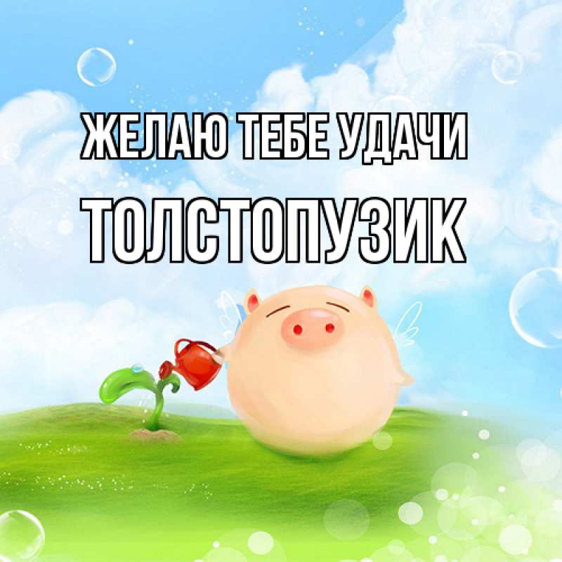 Картинка Желаю тебе удачи, Толстопузик