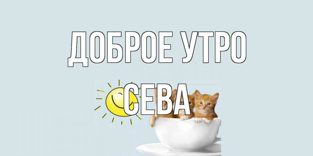 Открытка на каждый день с именем, Сева Доброе утро котята Прикольная открытка с пожеланием онлайн скачать бесплатно 