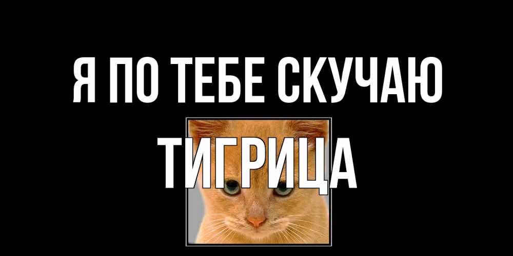 Открытка на каждый день с именем, Тигрица Я по тебе скучаю открытки рыжий котенок скучает по тебе Прикольная открытка с пожеланием онлайн скачать бесплатно 