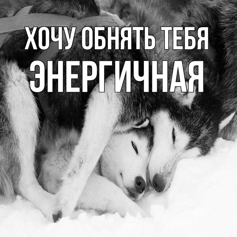 Картинка Хочу обнять тебя, Энергичная
